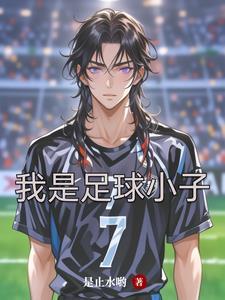 足球小子简介
